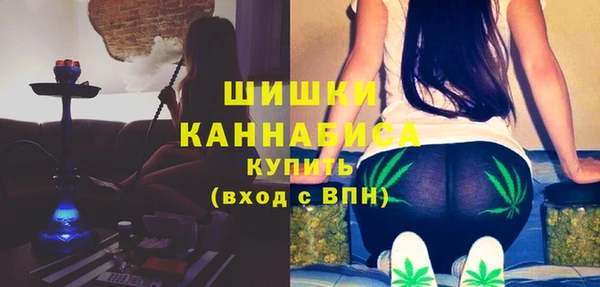 МДПВ Козельск