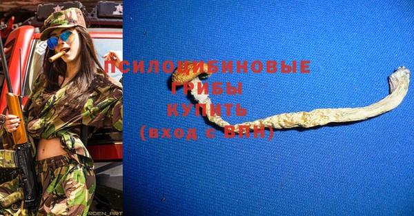 СК Кодинск