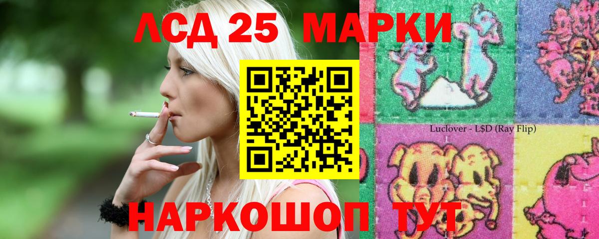 Лсд 25 экстази кислота Георгиевск