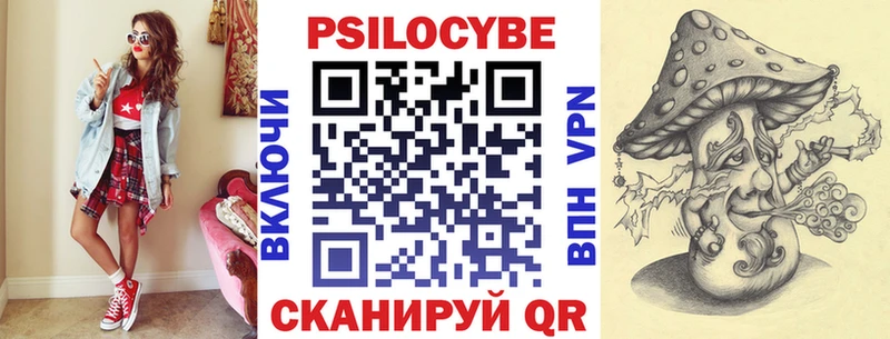 Псилоцибиновые грибы Cubensis  Георгиевск 
