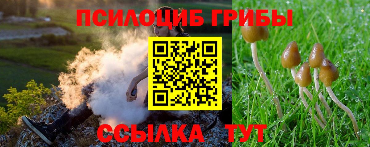 A PVP Георгиевск
