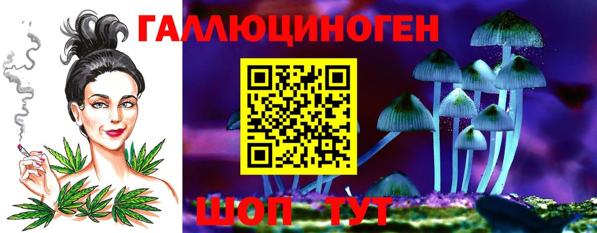 Галлюциногенные грибы Psilocybe  Вход с VPN  Георгиевск 