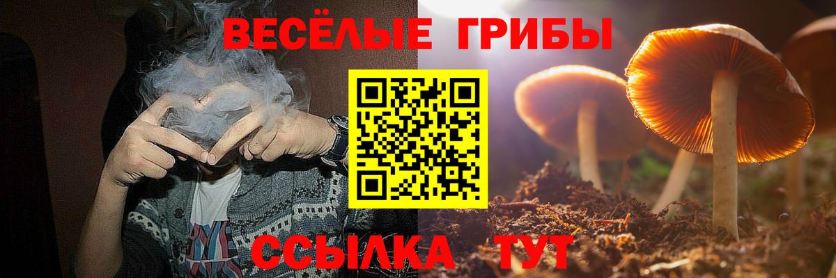 Галлюциногенные грибы мухоморы Георгиевск
